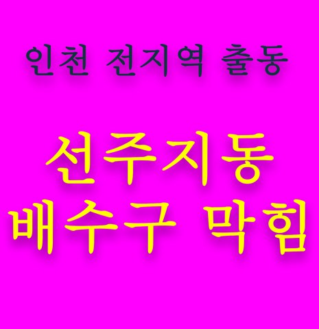 선주지동 배수구 막힘 5503